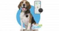 Spotter Huisdier GPS Tracker Hond - Inclusief Prepaid Simkaart - thumbnail