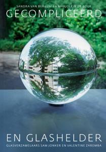 Gecompliceerd en glashelder (Hardback)