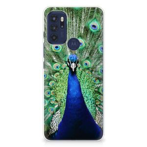 Motorola Moto G60s TPU Hoesje Pauw