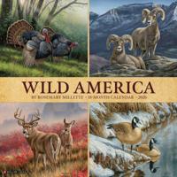Wildlife Amerika Kalender 2026