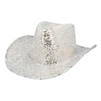 Hoed Rodeo Party zilver