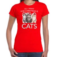 Kitten Kerst t-shirt / outfit All i want for Christmas is cats rood voor dames