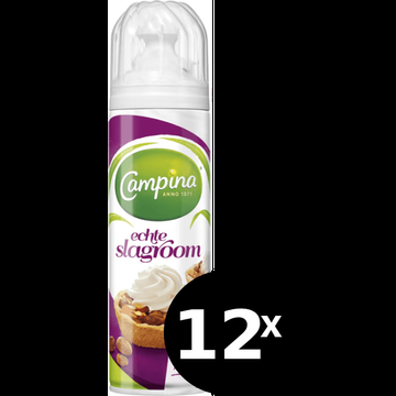 Campina Echte Slagroom 12 x 250g bij Jumbo