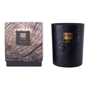 PTMD Elements Fragrance Candle Elegant Cedar 450 gr