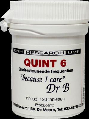 DNH Quint 6