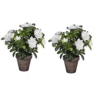 2x Groene Azalea kunstplanten met witte bloemen 27 cm met pot stan grey - Kunstplanten - thumbnail