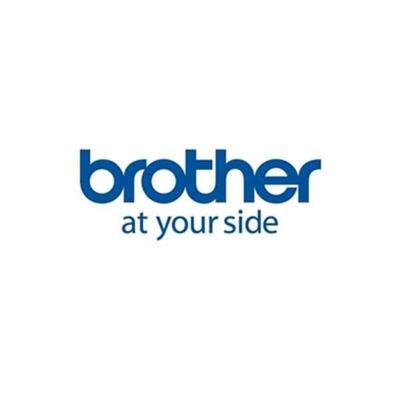 Printerlabels Brother LDP1M050102100I Wit (12 Stuks)