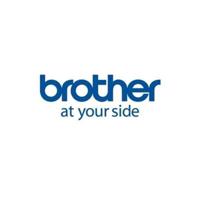 Printerlabels Brother LDP1M050102100I Wit (12 Stuks)