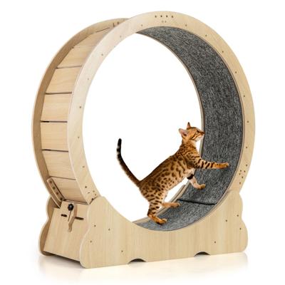 101 cm Groot Trainingswiel voor Katten Kattenloopband met Vergrendelbaar Mechanisme Gelambriste Loopvlak