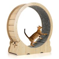 101 cm Groot Trainingswiel voor Katten Kattenloopband met Vergrendelbaar Mechanisme Gelambriste Loopvlak