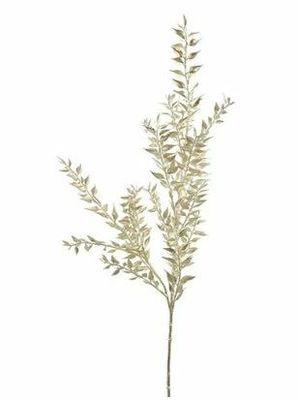 Ruscus metallic champagne