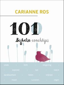 101 Bijbelse coachtips (Paperback)