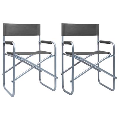 Regisseursstoelen 2 st staal grijs