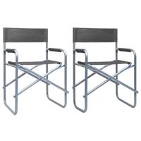 Regisseursstoelen 2 st staal grijs