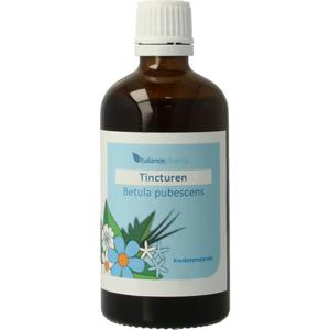 Balance Pharma Betula pubescens tincturen