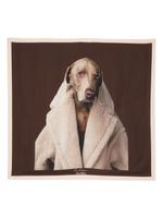 Max Mara foulard Carretteddydog en soie - Marron