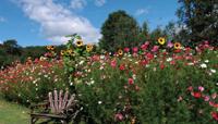 Bloemen stoel 130x70cm Tuinschilderij - Customize it
