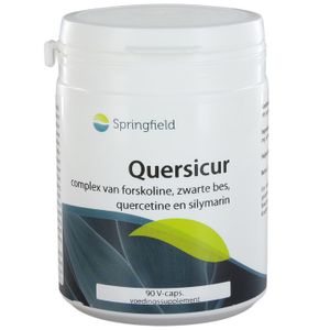 Quersicur