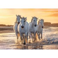 Poster kudde witte paarden op het strand 84 x 59 cm   -