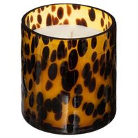 Geurkaars Animal - 1x stuks - Amber - 46 branduren   -