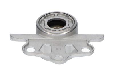 Veerpoot SSM10011