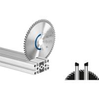 Festool HW 216x2,3x30 W60 491051 Cirkelzaagblad 216 x 30 x 1.80 mm Aantal tanden: 60 1 stuk(s)