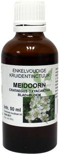 Natura Sanat Crataegus oxyacantha / meidoorn tinctuur (50 ml)