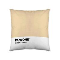 Kussenhoes Melon Cream Pantone 63836415 50 x 50 cm
