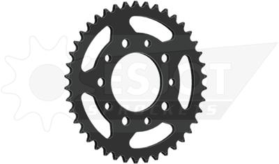 ESJOT Chain wheel 525 45z steel black