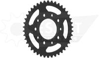 ESJOT Chain wheel 525 45z steel black