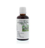 Berberis vulgaris / zuurbes wortelschors tinctuur