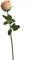 Pure Royal kunsttak roos 56cm oranje