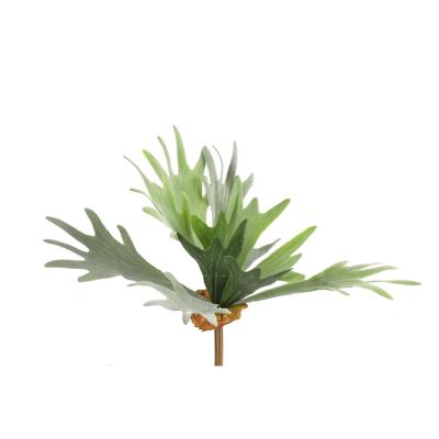 Kunstplant Platycerium groen 10xH63,5cm