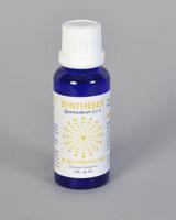 Vita Syntheses quantenbron +9 (30 ml)