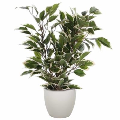 Mica Decorations Ficus kunstplant - groen - 40 cm - met plantenpot - beige - D13.5 en H12.5 cm