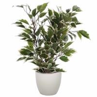 Mica Decorations Ficus kunstplant - groen - 40 cm - met plantenpot - beige - D13.5 en H12.5 cm