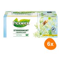 Pickwick - Herbal Sterrenmunt - 6x 100 zakjes