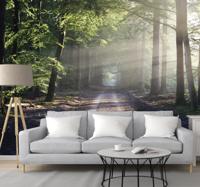 Fotobehang bomen donker bos met zonlicht