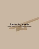 Staaltje trapleuning rechthoekig 40x10mm goud Staaltje trapleuning rechthoekig 40x10mm goud