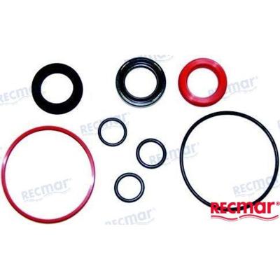 REPUESTOS MOTORES REC22169 - KIT REPARACION PISTON TRIM