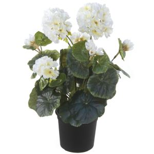 Witte geranium Pelargonium Graveolens kunstplant in zwarte kunststof pot 35 cm