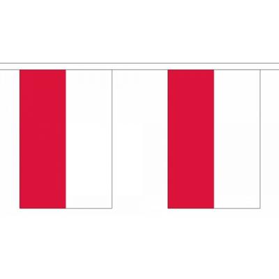 Polen landen vlaggetjes - 9 meter - slinger / vlaggenlijn - supporters - binnen/buiten