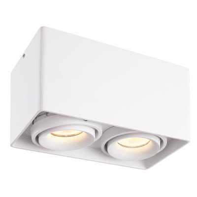 Esto LED Opbouwspot - Vierkant - 2 lichts - Kantelbaar - Dimbaar - 4000K neutraal wit - GU10 - Opbouwspot - Voor binnen - Vervangbare afdekring - Wit