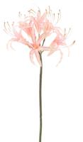 Nerine spray old pink 90 cm kunstbloemen - Nova nature