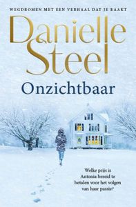 Onzichtbaar - Danielle Steel - ebook