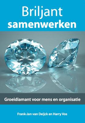 Briljant samenwerken (Paperback)