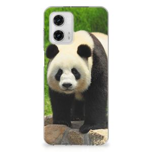 Motorola Moto G73 TPU Hoesje Panda