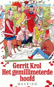 Het gemillimeterde hoofd - Gerrit Krol - ebook