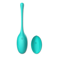 WINYI Kitty - Vibrerend ei - draagbare vibrator (kleur: aqua)