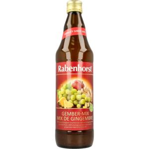 Rabenhorst Ginger mix bio